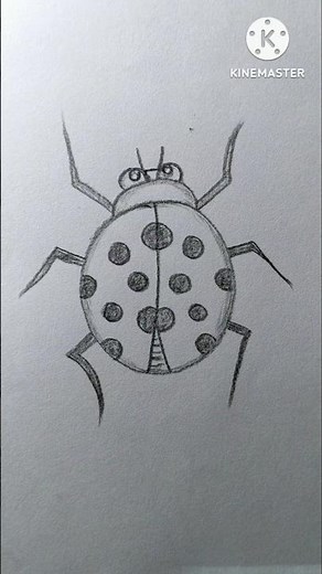 Easy insect drawing #art #trending #shortsvideo #shortsfeed #shorts #youtubeshorts