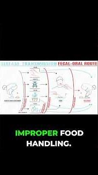 Droplet vs Airborne: How Germs Travel