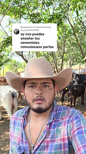 Características del toro rumociniano en Guatemala