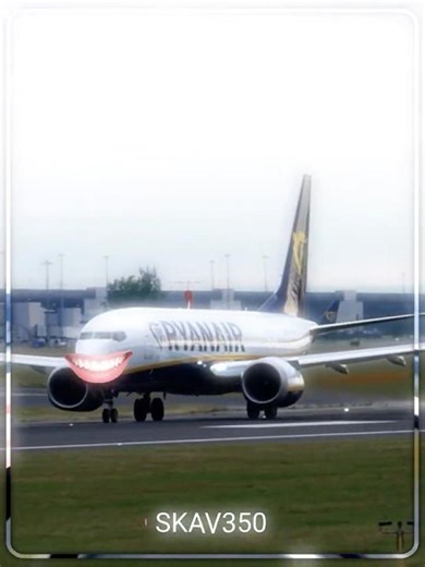 Ryanair - The Best Memes #aviation #ryanair #memes #viralvideo #airplane #fyp #airplane #edit
