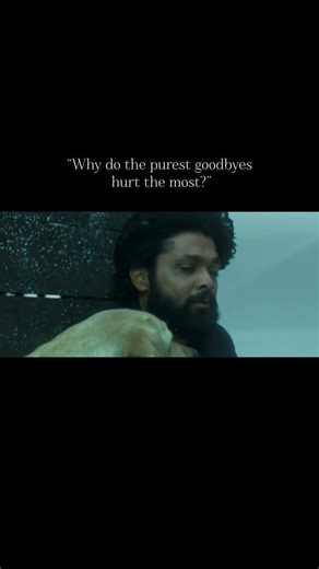 🎬 (777 Charlie, 2022)• #777Charlie #Charlie777 #EmotionalReel #HeartTouching #DogLove #Unconditional