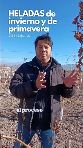 Heladas de invierno y primavera: Cómo afecta el aire frío a tus cultivos