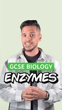 GCSE BIOLOGY: ENZYMES #flashrevisionlab #exam #gcserevision