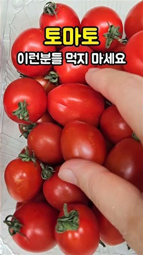 #토마토#먹으면안되는사람#건강한음식#영양식#food#제철과일#건강정보