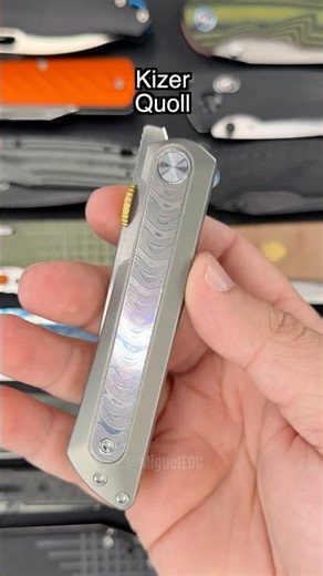 BEST EDC Knife Ever?! 💯🔥 Kizer Quoll! #shorts