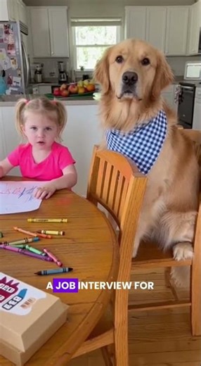 Dog Has Job Interview for 'Being a Good Boy' 😂🐕 | Dad Can't Believe It #shorts #funnykids #toddlers
