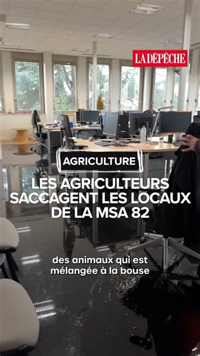 La Dépêche du Midi on Instagram: "Dans la nuit de vendredi à samedi 10 janviers, les agriculteurs ont répandu des centaines de litres de lisier dans les bureaux, brisé des vitres et déversé des tonnes de déchets devant la Mutualité sociale agricole (MSA) de Montauban, dans le Tarn-et-Garonne. La MSA estime à plusieurs dizaines de milliers d'euros les coûts des réparations."