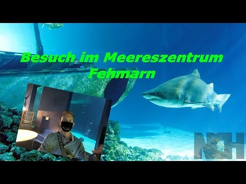 Meereszentrum Fehmarn Rundgang