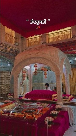 Status Shorts ♥️🥰 Waheguru Ji 🙏💖 Punjabi Songs ✨ #love #shortsfeed #wmk #shorts