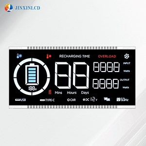 [Hot Item] Custom Segment LCD Module Va Monochrome LCD Display for Outdoor Power Supply
