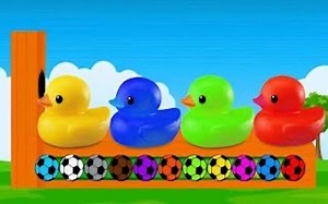 用鸭子和彩球教孩子认识颜色 玩具和颜色_哔哩哔哩_bilibili