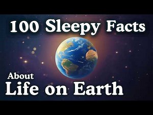 100 Sleepy Facts About the History of Life on Earth — Fall Asleep to History - No Adverts
