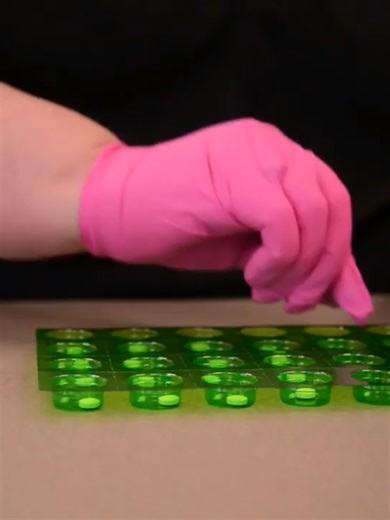 💊16 WEEK PHARMACY TECHNICIAN CERTIFICATION PROGRAM Class Schedule: 📆 Start Date: APRIL 13, 2026 📅 Mondays, Wednesday and Fridays ⏰ 9:00 AM – 1:00 PM or 5:30 PM – 9:00 PM 🚀 Secure Your Spot Now! Limited Seats Available. Enroll Now or Check Pricing at pptaacademy.org/apps.html Courses typically cover medication calculations, pharmacy law & ethics, drug handling, record-keeping, and more. 🎓 Who Can Join Most programs require: ✔ High school diploma or GED (standard) ✔ Basic communication skills