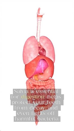 Why we drool?#trending#trendingshorts#youtubeshorts#youtube#fyp#health#viral#viralvideo#shorts#fyi