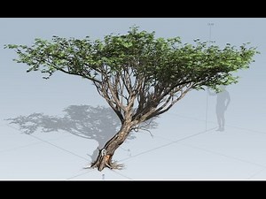 How to make tree in speedtree and import it in ue4 part 1