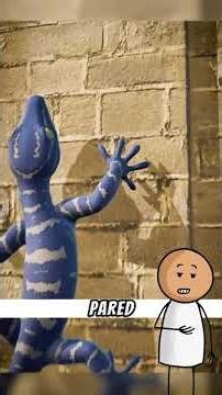 LearnOnTikTok interestingfacts usa educational... #Shorts #motivationmedia231