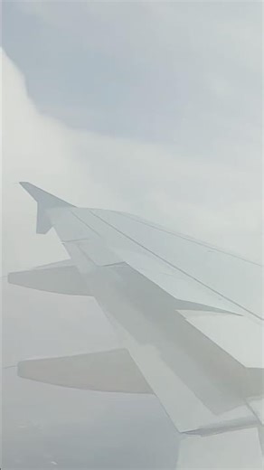 Going Through Cloud Cover Turbulent Approach #aviation #landing #fly #airport