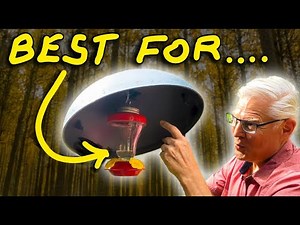 What's REALLY Keeping Sun & Squirrels Away from Your Humming Bird Feeders?