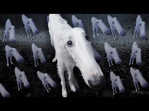 Let Me Do It For You Meme