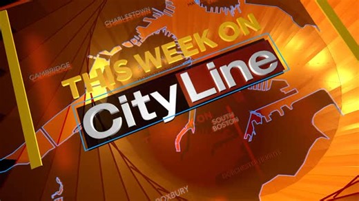 Cityline5 on Instagram: "This week on CityLine, turning the page on 2025 and starting a new chapter in 2026. @bplboston shares what cardholders were checking out in their end-of-year wrap up. Julie Roach, the library's collection development manager, shares the data with Jessica Brown. The Trump administration is implementing its plans to shutter the Education Department. Some say the effort threatens to erase history and educational opportunity for Black children. Dr. Karida Brown’s book, "The 