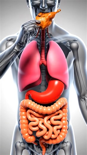 Eat Quail Daily Tiny Bird for Big Brain Gains! 🐦🧠 (Brain Power) #shorts