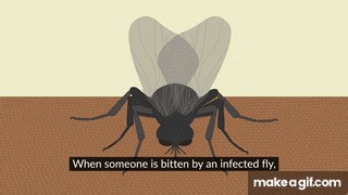 Did you know these 5 things about river blindness? on Make a GIF