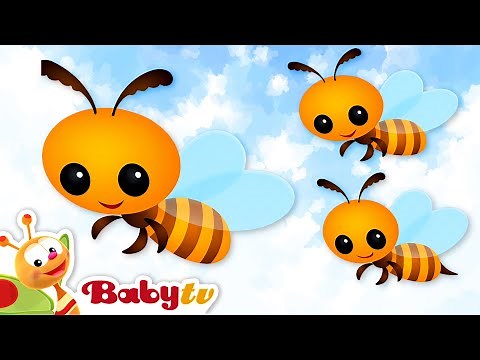 Bee Animal Sound & Name for Kids 🐝 | Learn with BabyTV