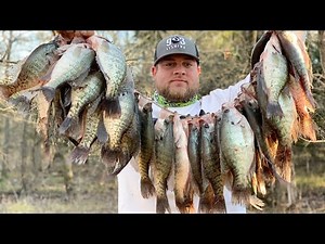 INSANE Creek CRAPPIE Fishing ‼️ TEXAS Creek Was LOADED With Creek CRAPPIE‼️