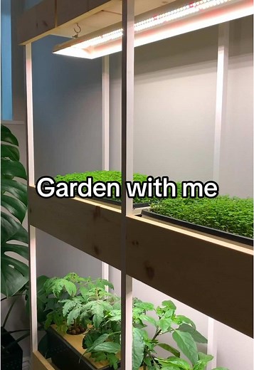 Indoor Gardening for Small Spaces: Grow Your Own Food