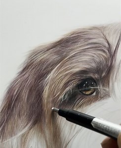 10K views · 1.2K reactions | My erasers play a huge part in how I create my drawings. I’m making a start on lovely Tucker, and using my tombow mono to help create the effects of hair 殺 I need to add more layers in and more of that lovely red/brown colour but not bad for an afternoons work. When you leave the details till the end and just concentrate on tones and colours you can get quite a bit done in a relatively short space of time 殺 | Bonny Snowdon Academy | Facebook