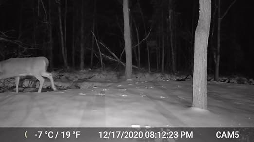 Zopu SL122MPro Trail Camera 