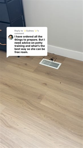 Rabbit Pals on Instagram: "So this is how Fritz will be potty trained. There are a lot of ways to do it, but this is the one I use with every single bunny that comes through my home. Your bunny is going to arrive in one of two states: 1. They’re pooping in a pile 2. They’re pooping everywhere, every couple inches, like a little minefield If you’ve got a minefield, your bunny is too stressed to claim a bathroom. That is not a potty issue. That’s a nervous system issue. You have to work on safety 