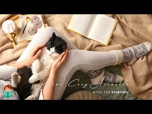 「無廣告版」 慵懶舒服英文小情歌 ❤ STUDYING MUSIC . RELAX MUSIC . ACOUSTIC MUSIC