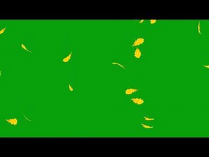 Autumn Oak Leaf Falling | Green Screen Video | Green Screen Library