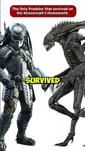 The Only Predator That Survived on Xenomorph Prime? #Shorts #Viral #Facehugger