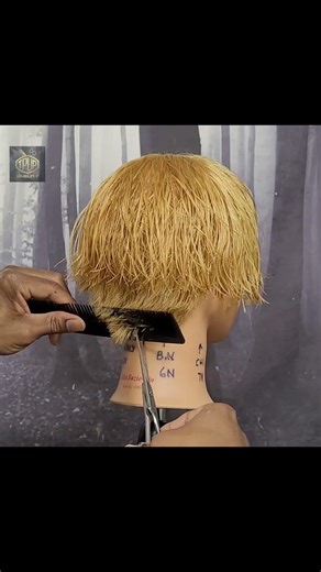 Bowl and or Mushroom haircut tutorial