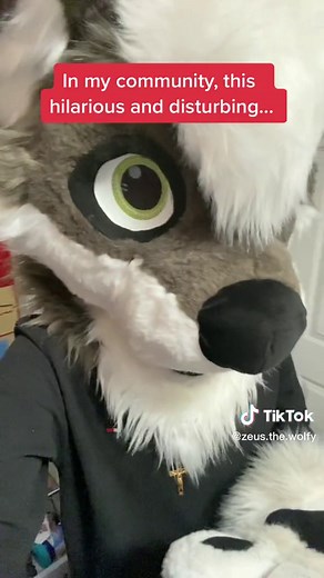 Furry Raccoon Gets Hilariously Creative with a Cheese Grater