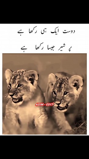 2.5K views · 10K reactions | "퐕퐈퐒퐓 퐎퐔퐑 퐏퐑퐎퐅퐈퐋퐄  "퐊퐄퐄퐏 퐅퐎퐋퐋퐎퐖퐈퐍퐆 爐...