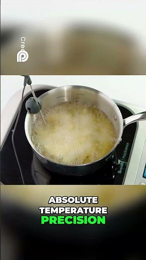 Cook Like A PRO!!! Precise Temperature Controlled Induction Cooktop! #induction