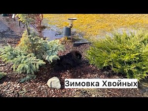 The Siberian garden after winter! A brief overview of the first results of wintering!