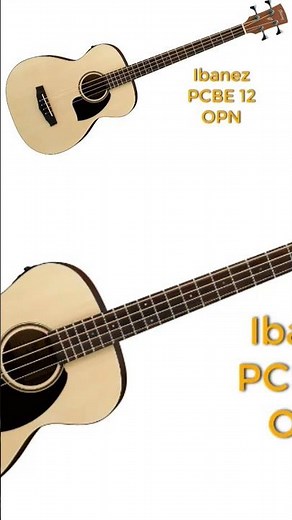 Ibanez vs Cort Acoustic Bass