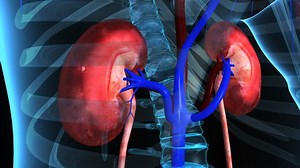 Excretion Human 4k Stock Footage Video (100% Royalty-free) 21300511 | Shutterstock