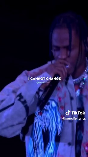 Travis Scott - Butterfly Effect Lyrics Explained