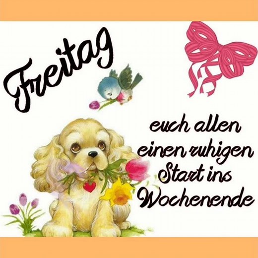 😘⚘Ich wünsche euch einen wunderschönen Guten Morgen...Es ist Freitag...WOCHENENDE 👌🙏💕