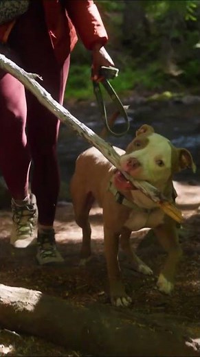 Danner x REI Inquire Mid
