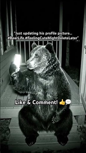 BEAR Takes a SELFIE With a Smartphone?! This Can't Be Real 😂