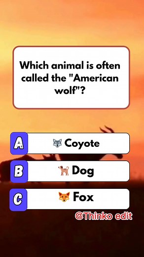 🧠 Can You Outsmart the Obvious Answer #quiz #fun #brainteaser #MindGames #BrainChallenge #puzzle | Thinko