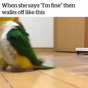 66K views · 1K reactions | All husbands should know this universal language.  https://pinklily.com/new-arrivals/ | Pink Lily | Facebook