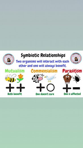 Entendiendo las relaciones simbióticas en la biología