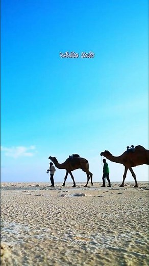 Explore the Magic of Rann of Kutch – 4 Days Itinerary